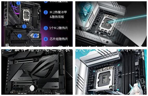 怎么样用系统之家装机大师重装Win11系统？
