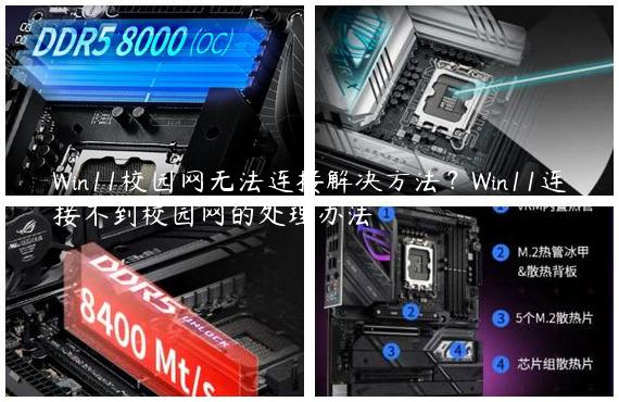 Win11校园网无法连接解决方法？Win11连接不到校园网的处理办法