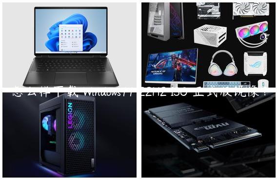 怎么样下载 Windows11 22H2 ISO 正式版镜像？