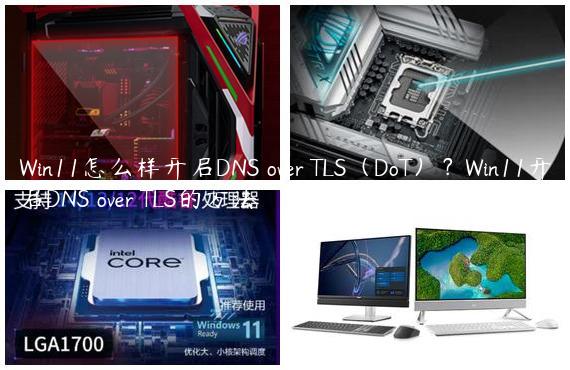 Win11怎么样开启DNS over TLS（DoT）？Win11开启DNS over TLS的方法