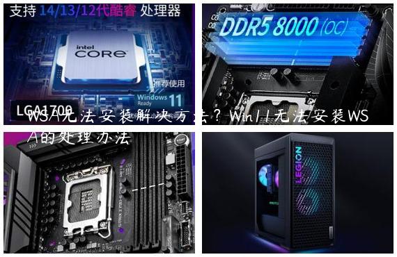 WSA无法安装解决方法？Win11无法安装WSA的处理办法