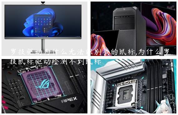 罗技驱动为什么无法识别我的鼠标,为什么罗技鼠标驱动检测不到鼠标