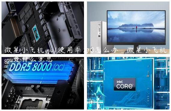 微星小飞机gpu1使用率为0怎么办_微星小飞机gpu是什么意思