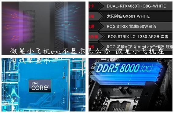 微星小飞机epic不显示怎么办-微星小飞机在游戏里显示