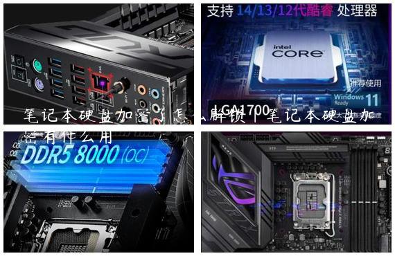 笔记本硬盘加密了怎么解锁|笔记本硬盘加密有什么用