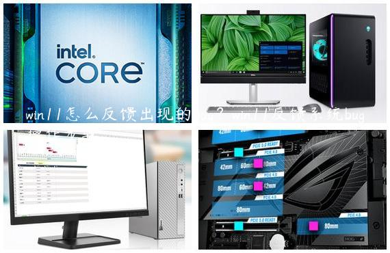 win11怎么反馈出现的bug？win11反馈系统bug操作步骤