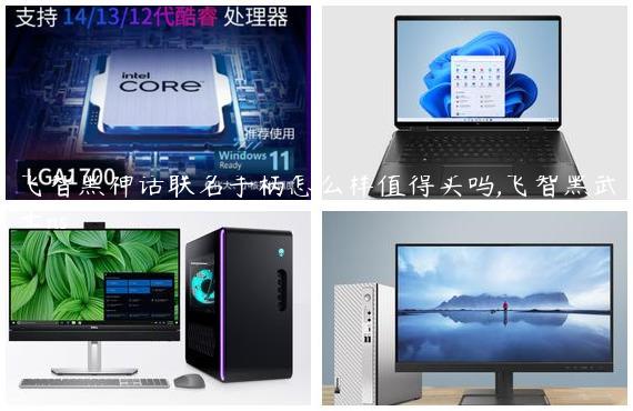 飞智黑神话联名手柄怎么样值得买吗,飞智黑武士ns