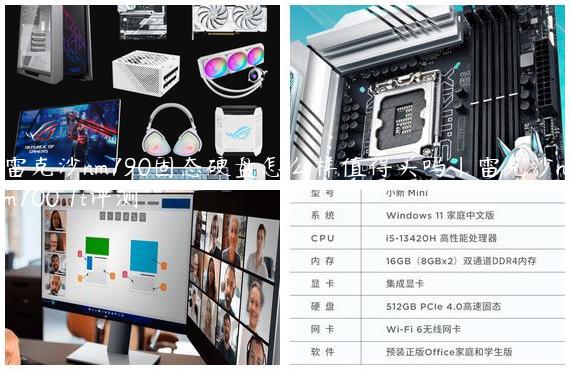 雷克沙nm790固态硬盘怎么样值得买吗|雷克沙nm700 1t评测