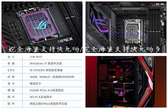 蛇圣海鲨支持快充吗/蛇圣海鲨支持快充吗多少w
