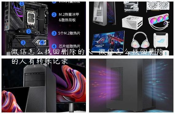 微信怎么找回删除的人-微信怎么找回删除的人有转账记录