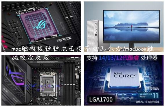 mac触摸板轻轻点击按不动怎么办/macbook触碰板没反应